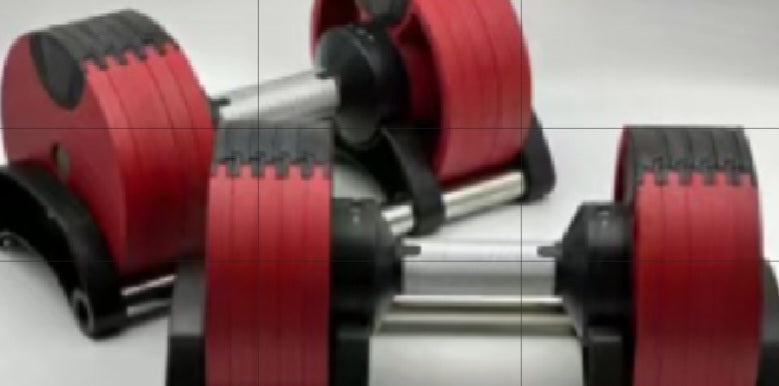 24 kg adjustable dumbell set (Pair)